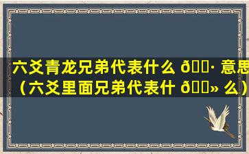 六爻青龙兄弟代表什么 🕷 意思（六爻里面兄弟代表什 🌻 么）